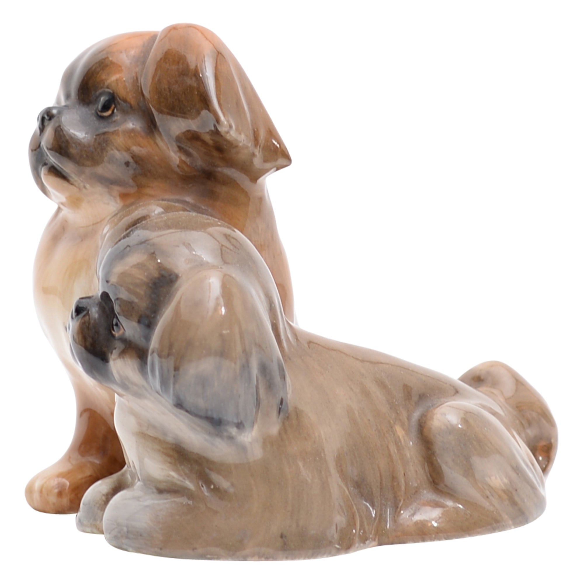 Pekinese (two)