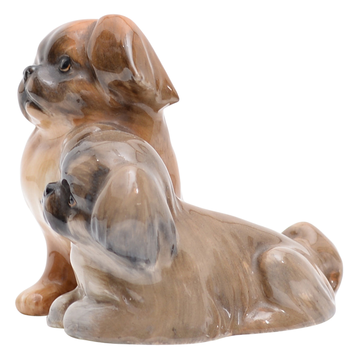 Pekinese (two)