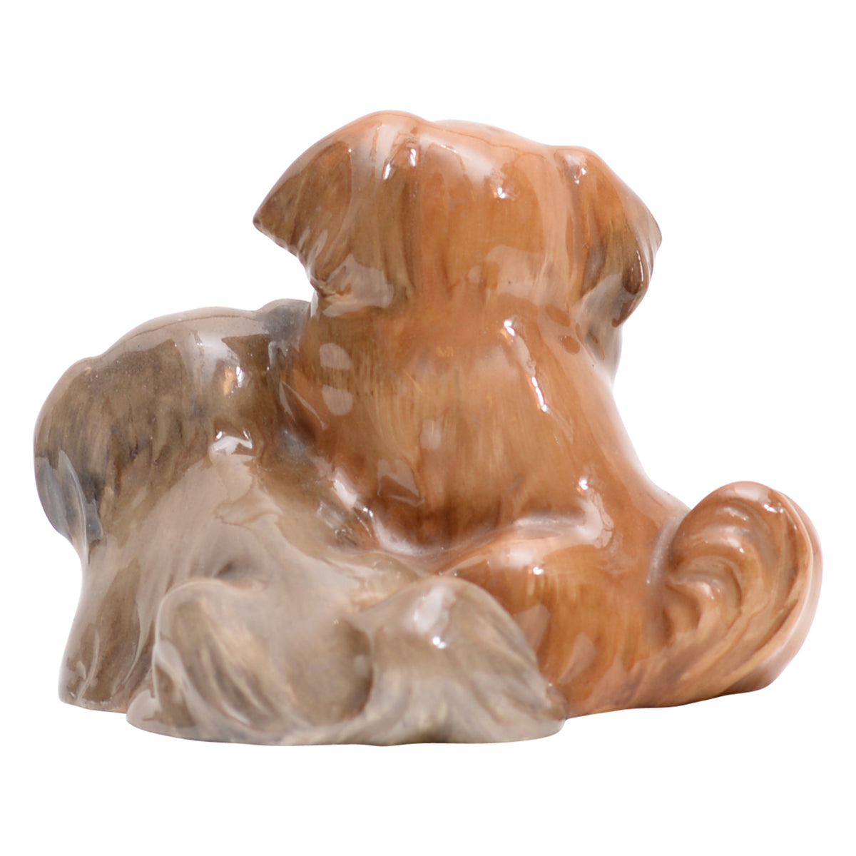 Pekinese (two)