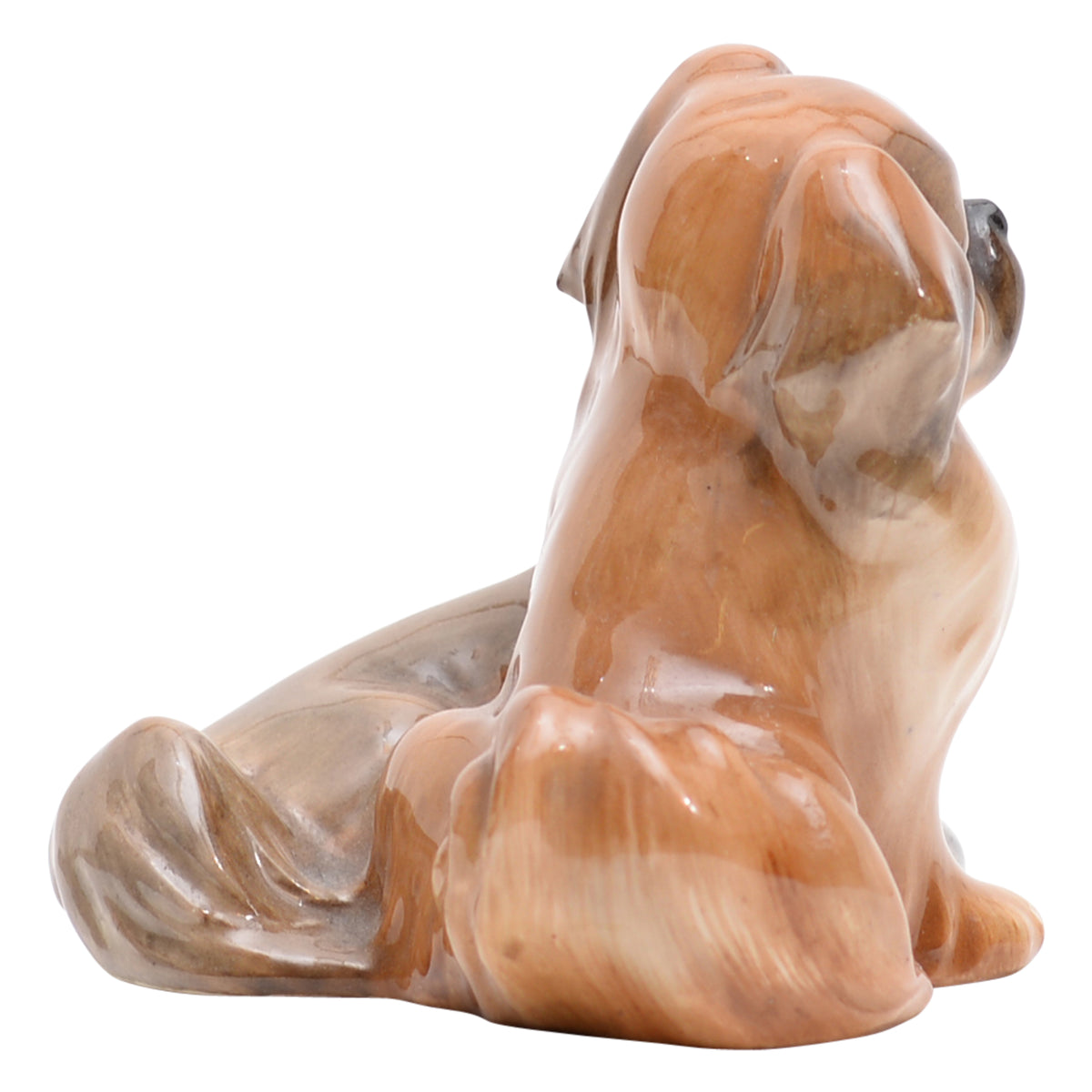 Pekinese (two)