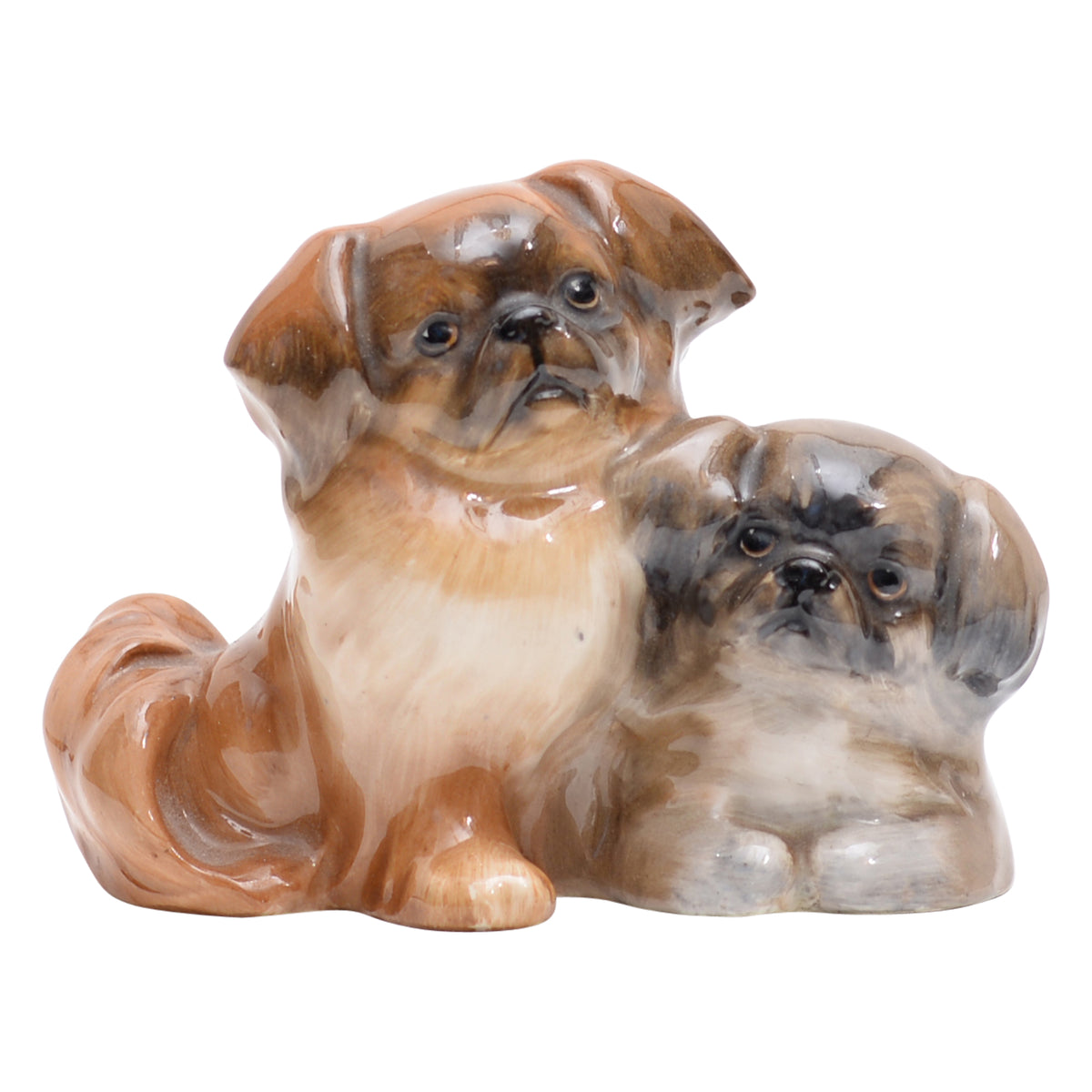 Pekinese (two)