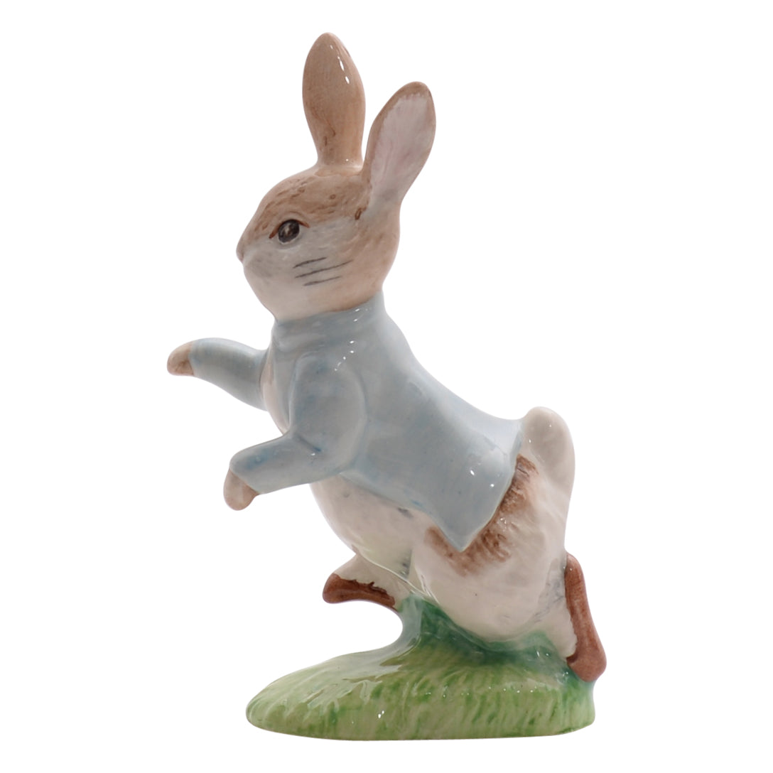 Peter Rabbit Gold Buttons