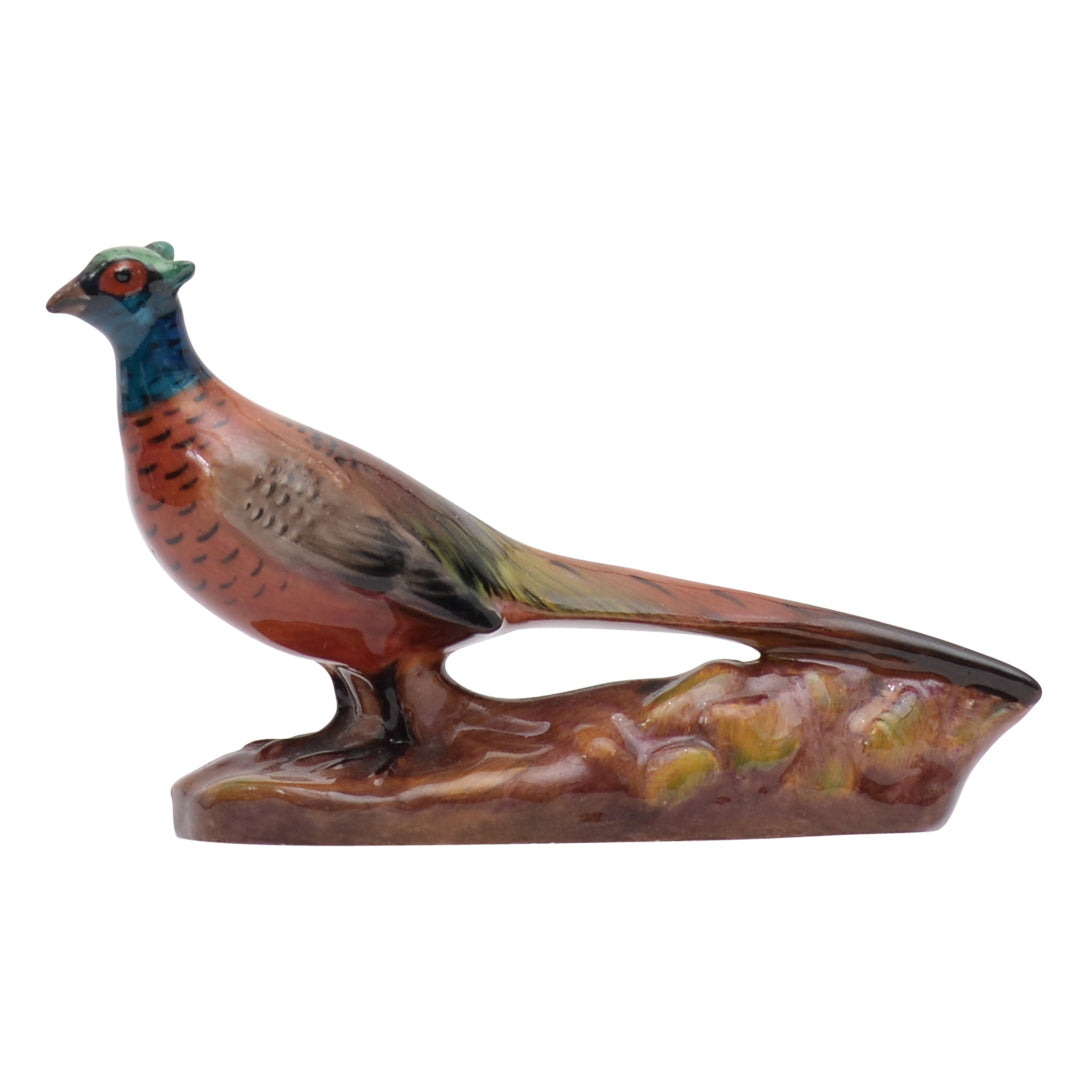 Pheasant