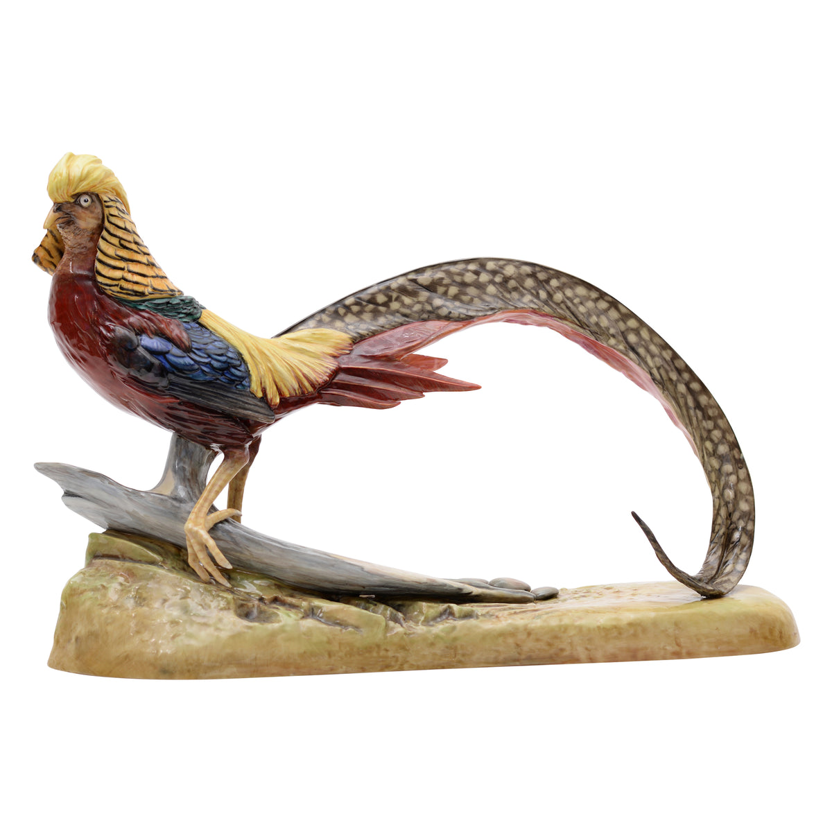 Pheasant prototype