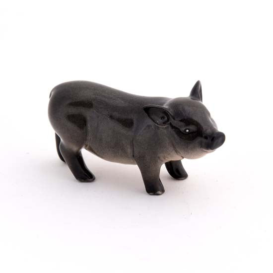 Pig