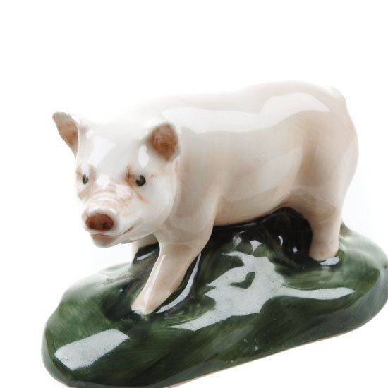 Piglet
