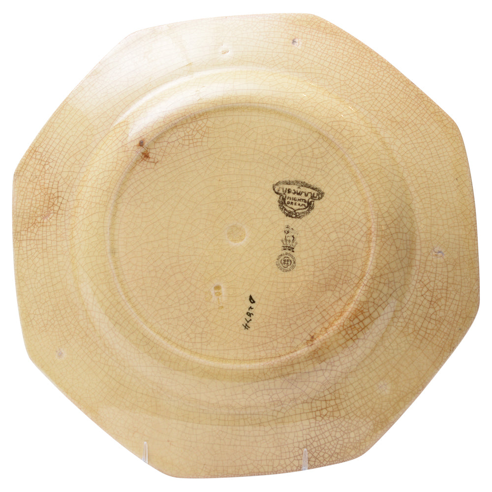 Plate Snout