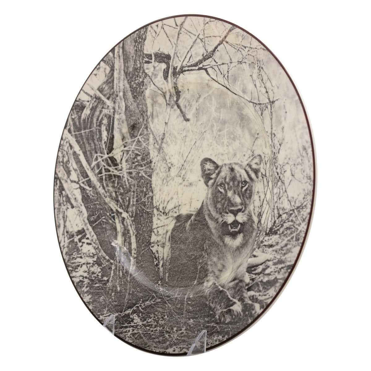 Lioness  Plate