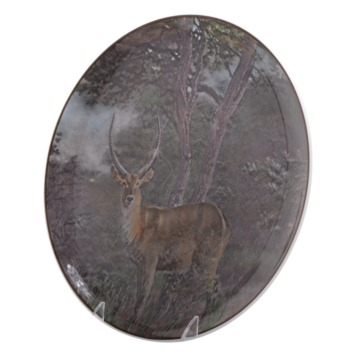 Waterbuck  Plate