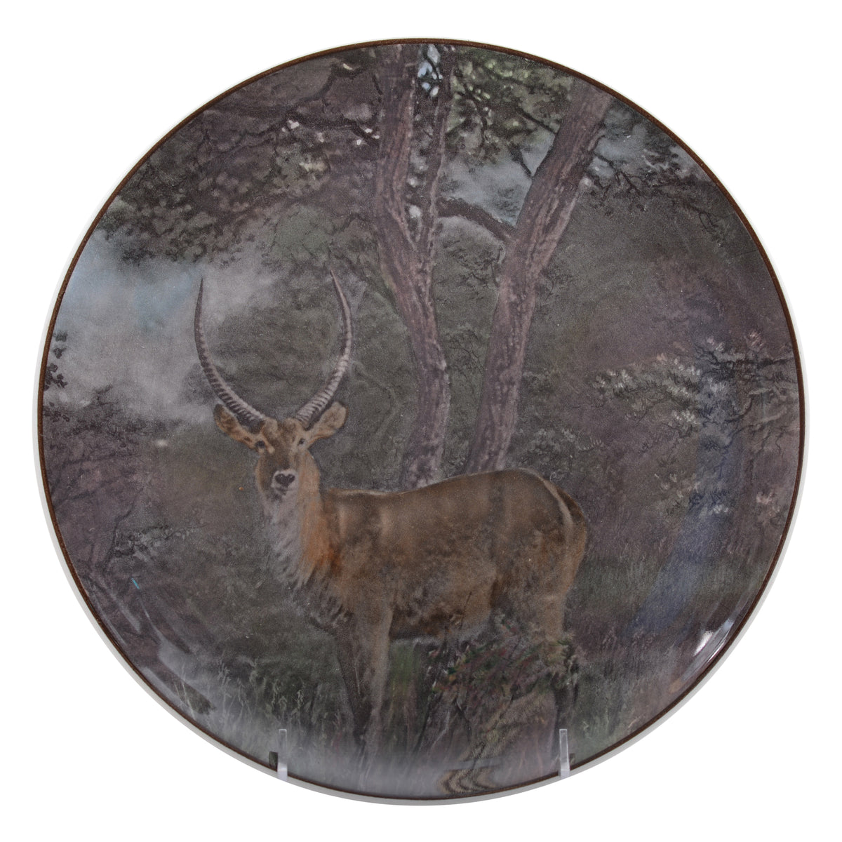 Waterbuck  Plate