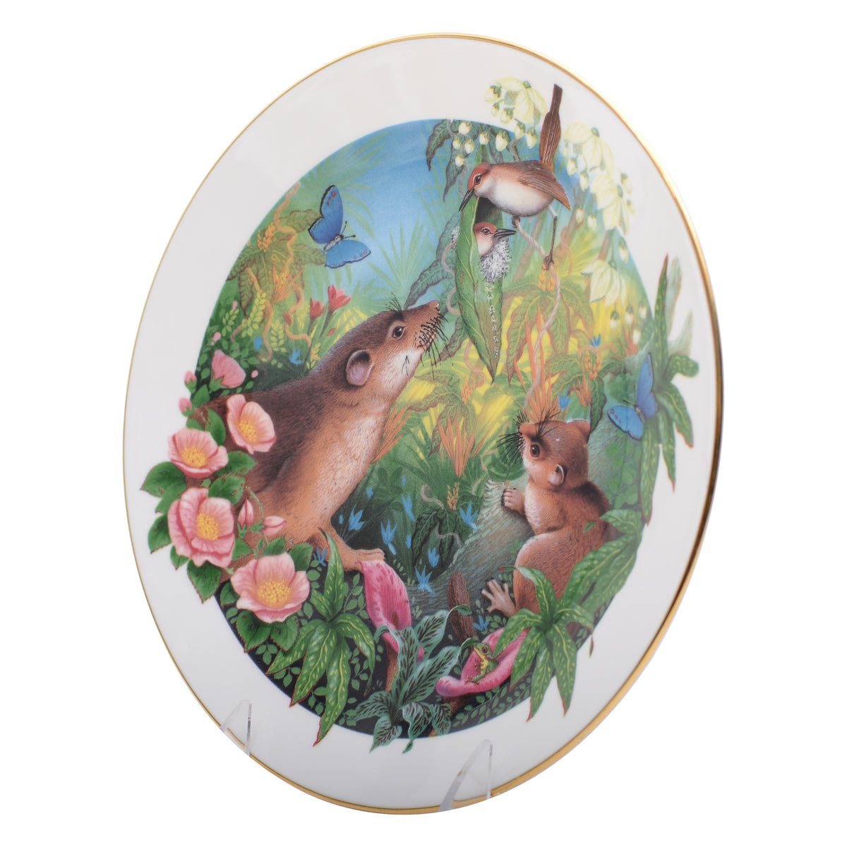 Royal Doulton  Plate