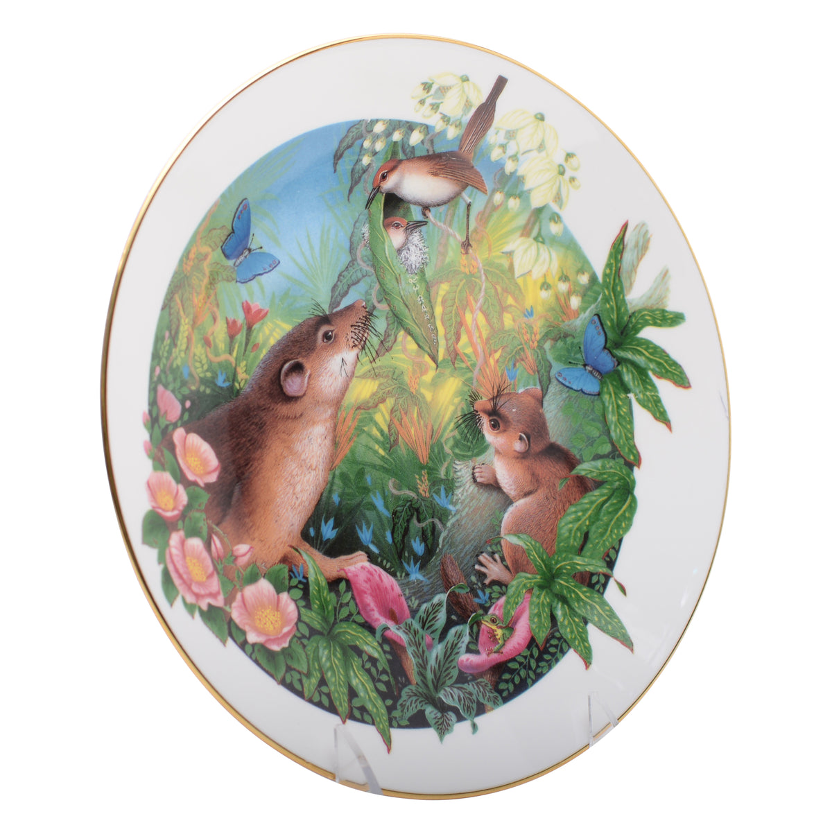 Royal Doulton  Plate