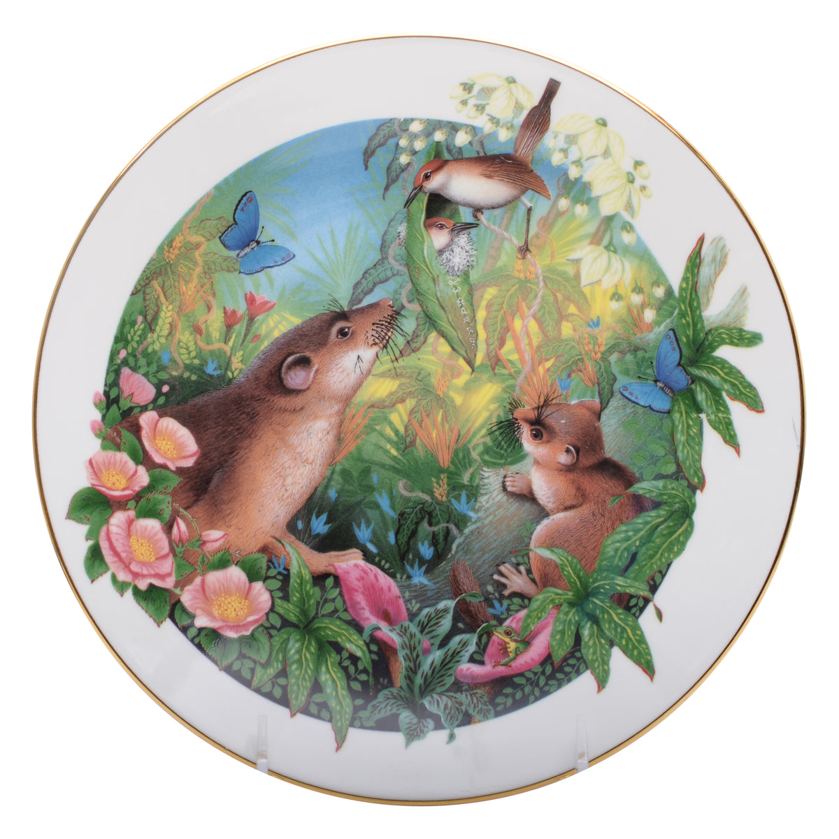 Royal Doulton  Plate