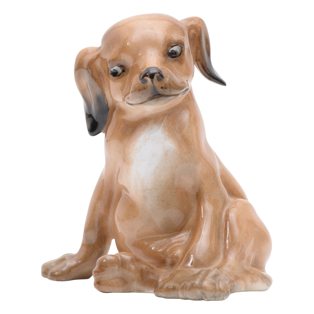 Puppy seated 