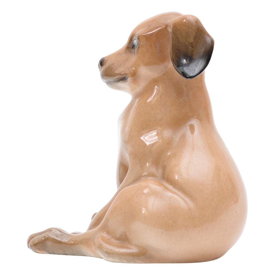Puppy seated 
