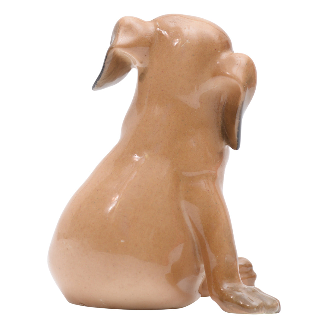 Puppy seated 