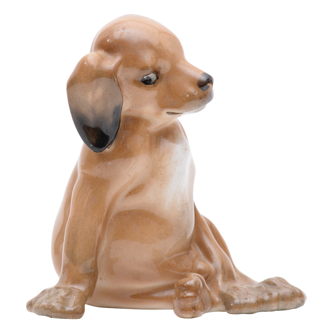 Puppy seated 