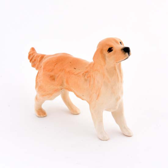 Retriever  "Golden"