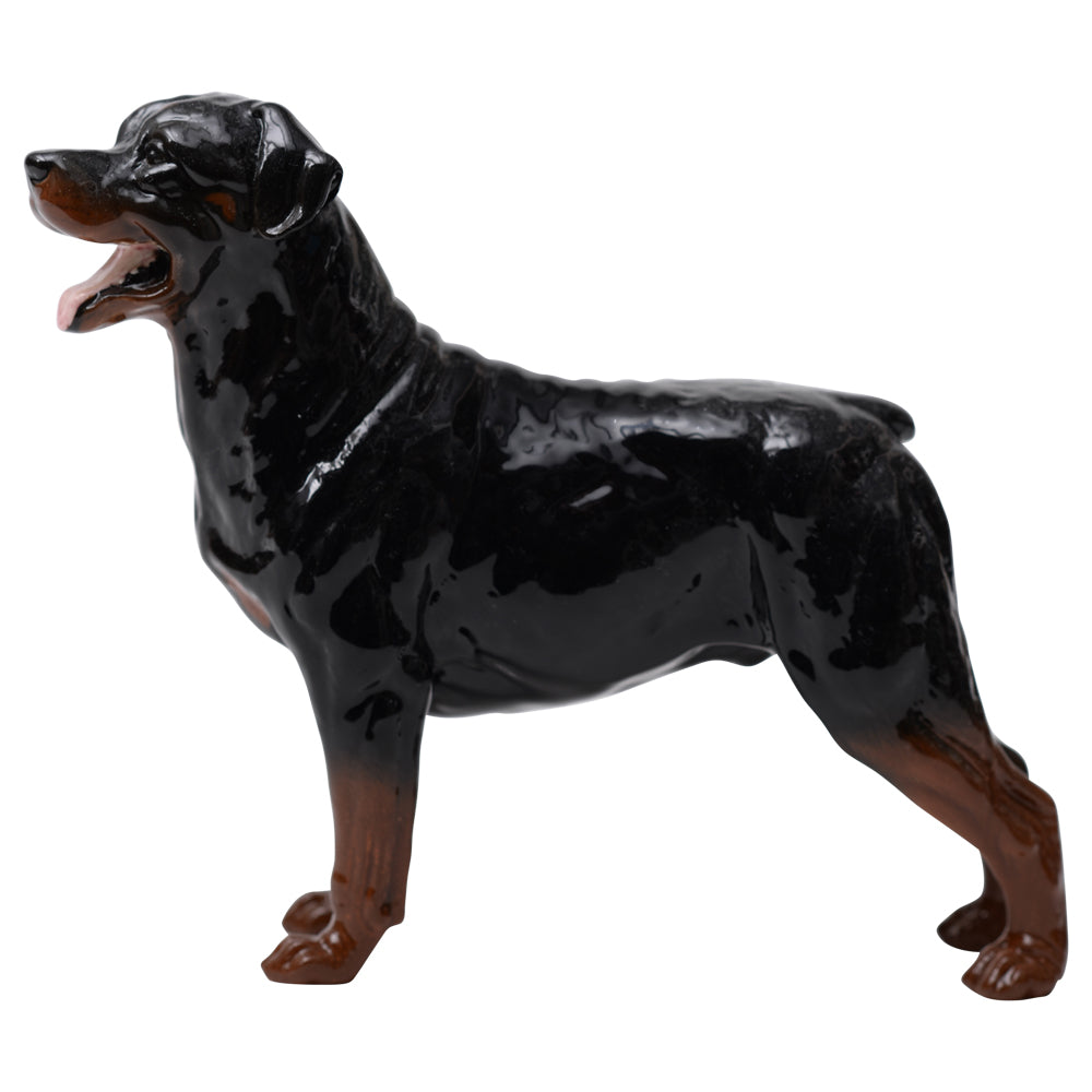 Rottweiler Standing