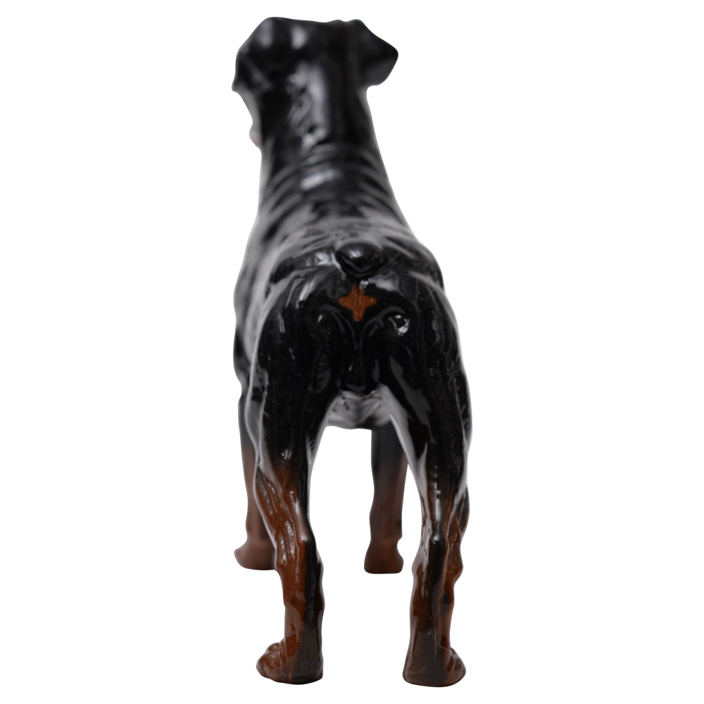 Rottweiler Standing