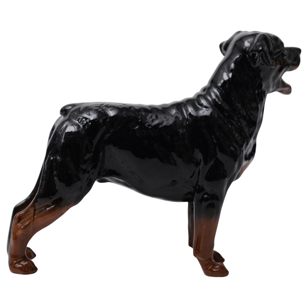 Rottweiler Standing