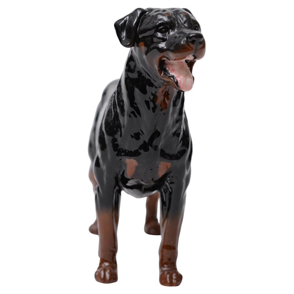 Rottweiler Standing