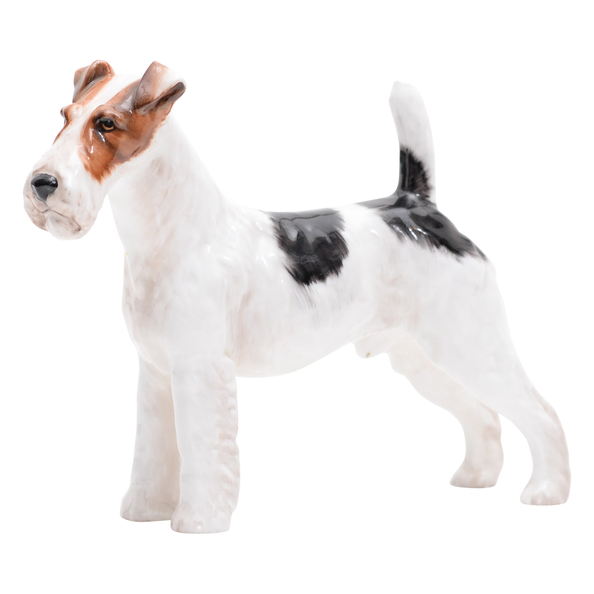 Rough Haired Terrier '