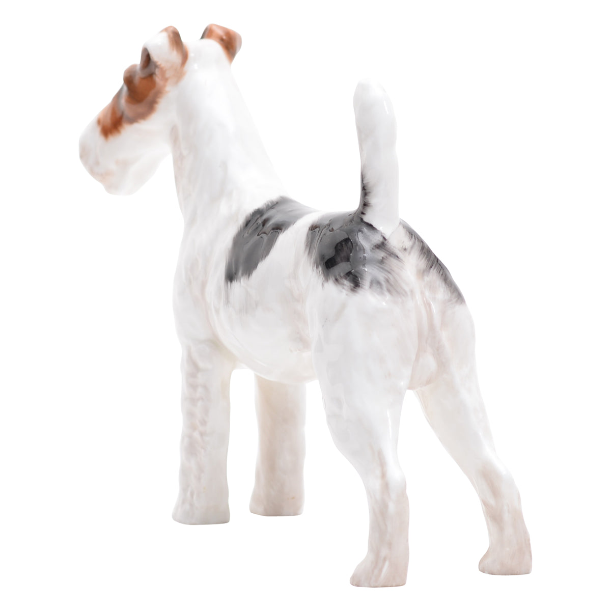 Rough Haired Terrier '