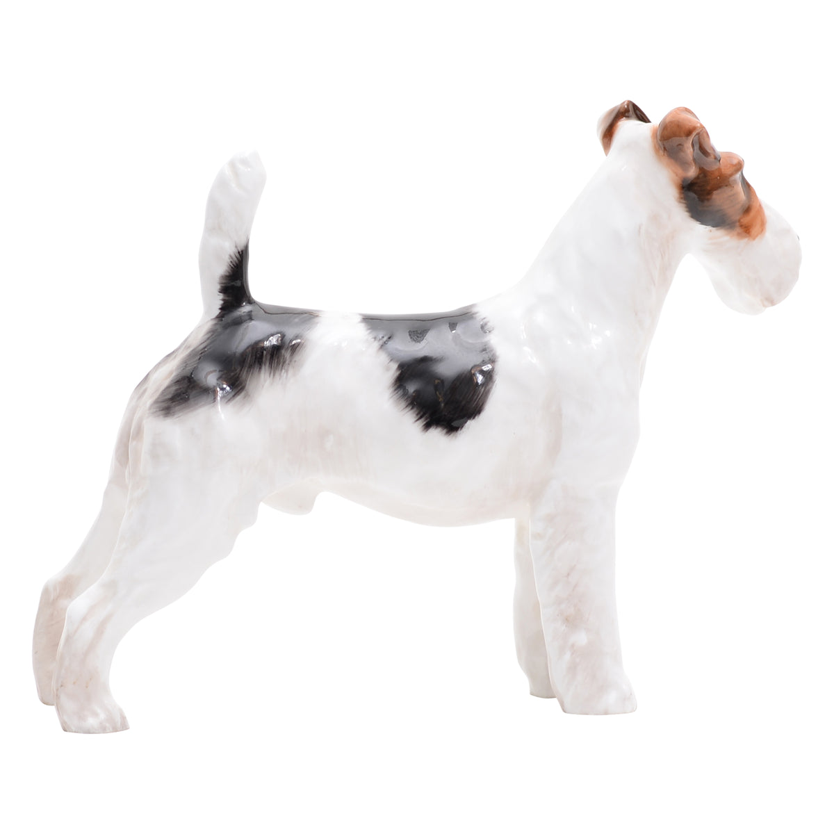 Rough Haired Terrier '