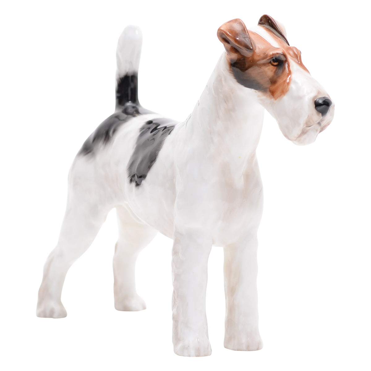 Rough Haired Terrier '