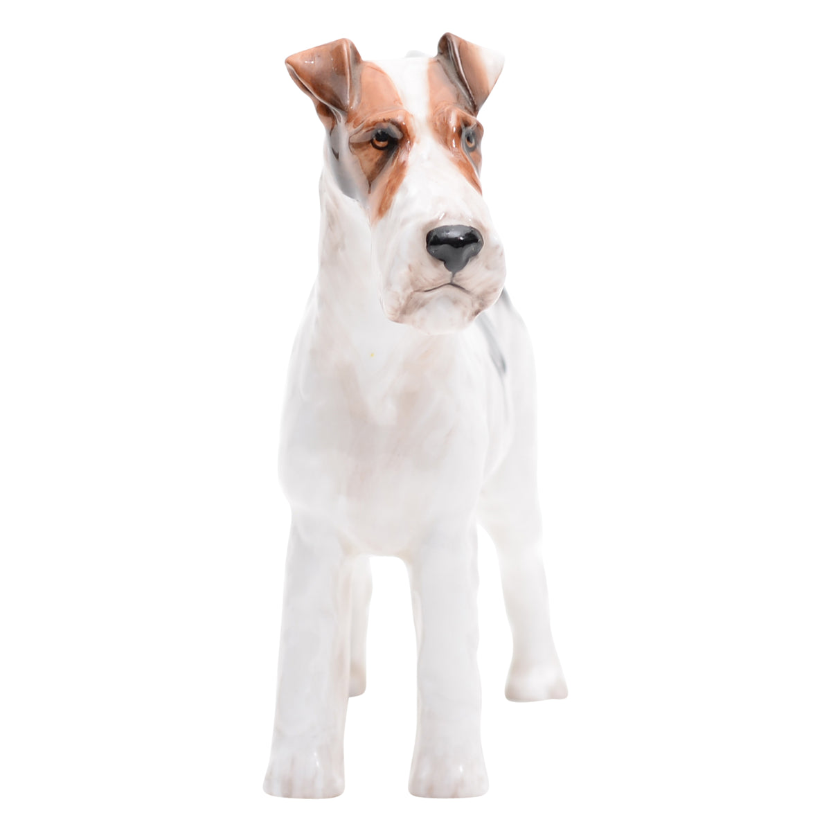 Rough Haired Terrier '