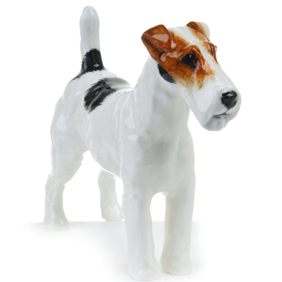 Rough Haired Terrier Small