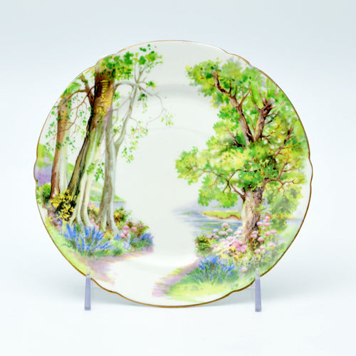Plate Shelley