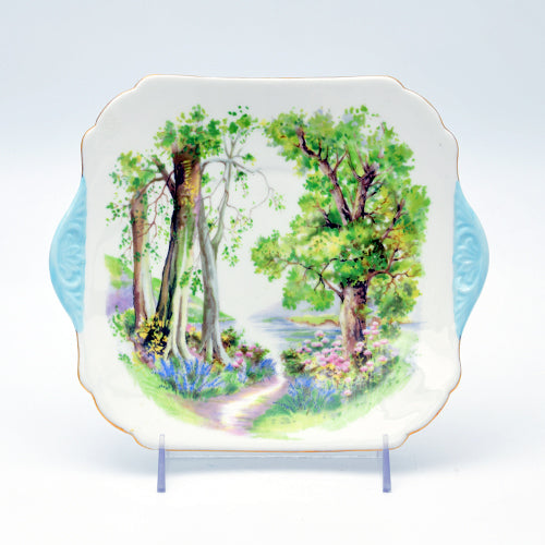 Plate Shelley