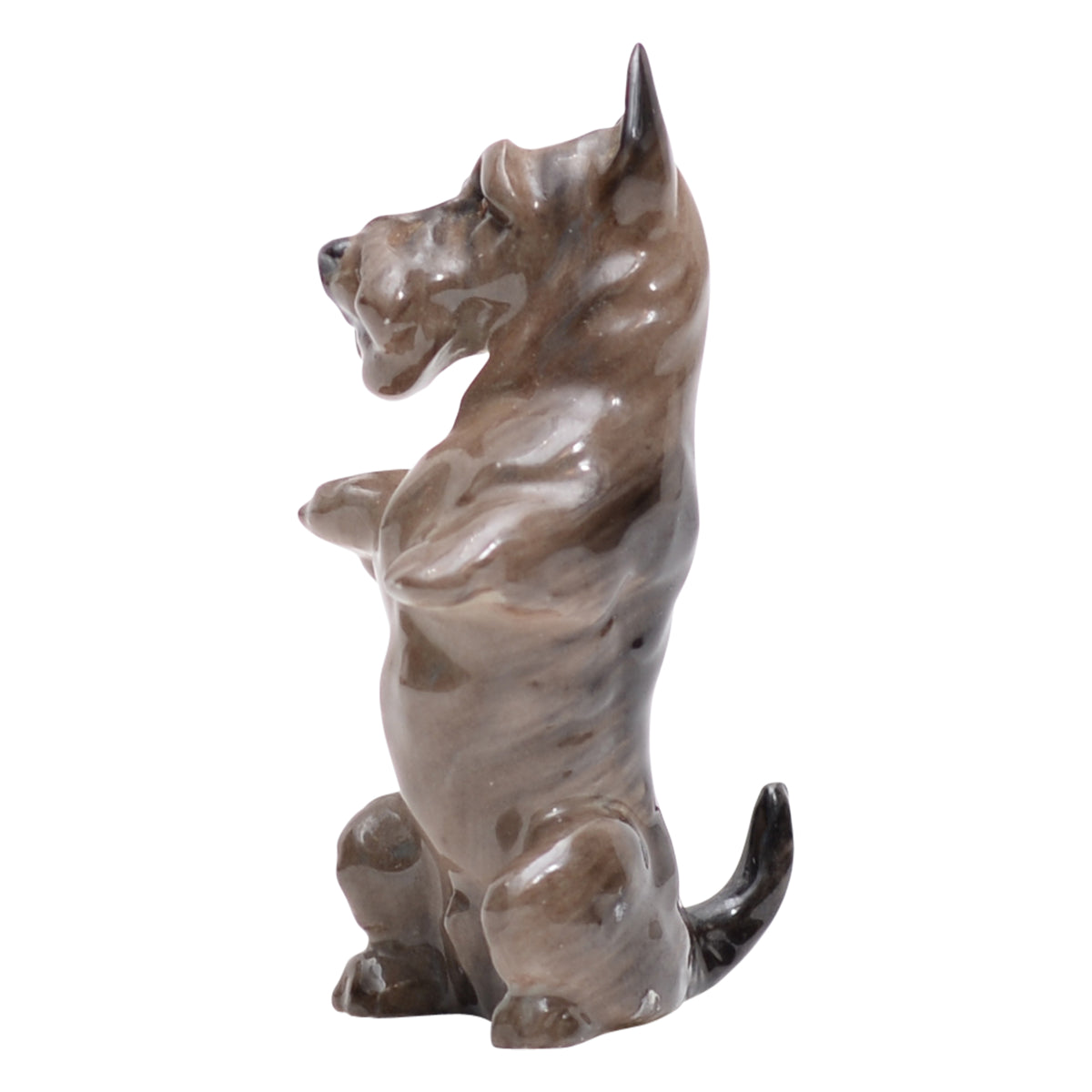 Scottish Terrier 
