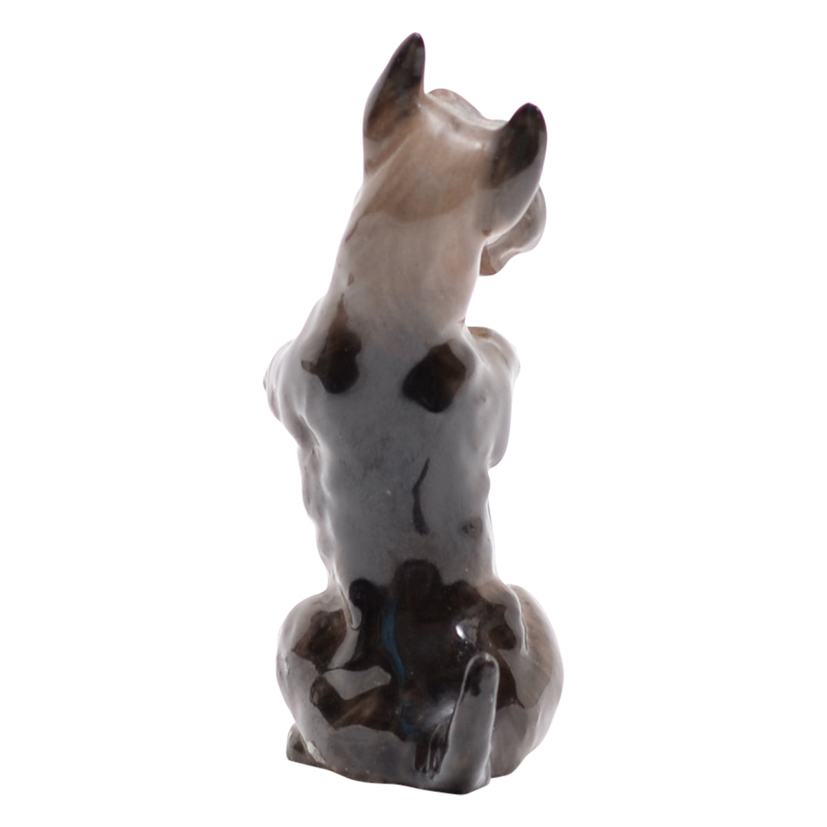 Scottish Terrier 