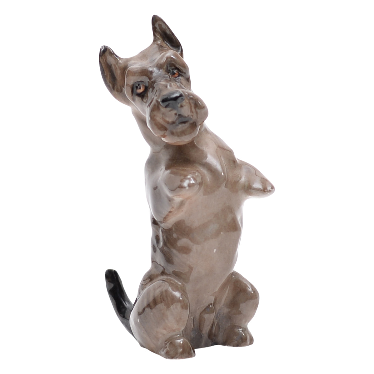 Scottish Terrier 