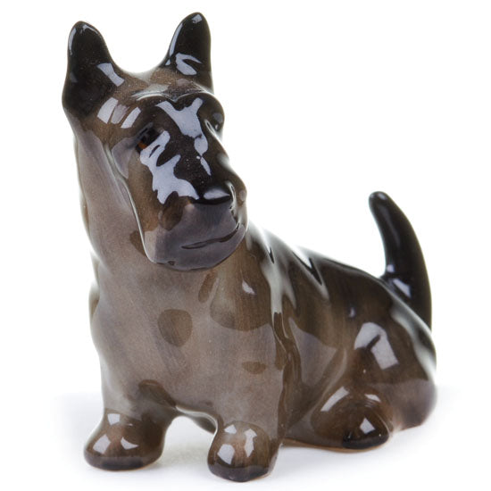 Scottish Terrier Seated K18