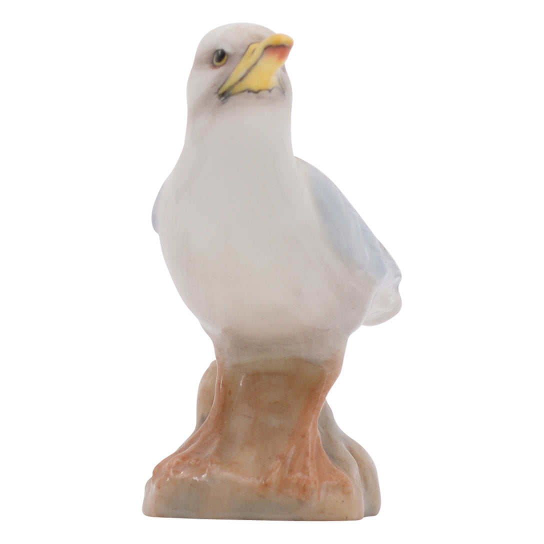 Seagull on rock