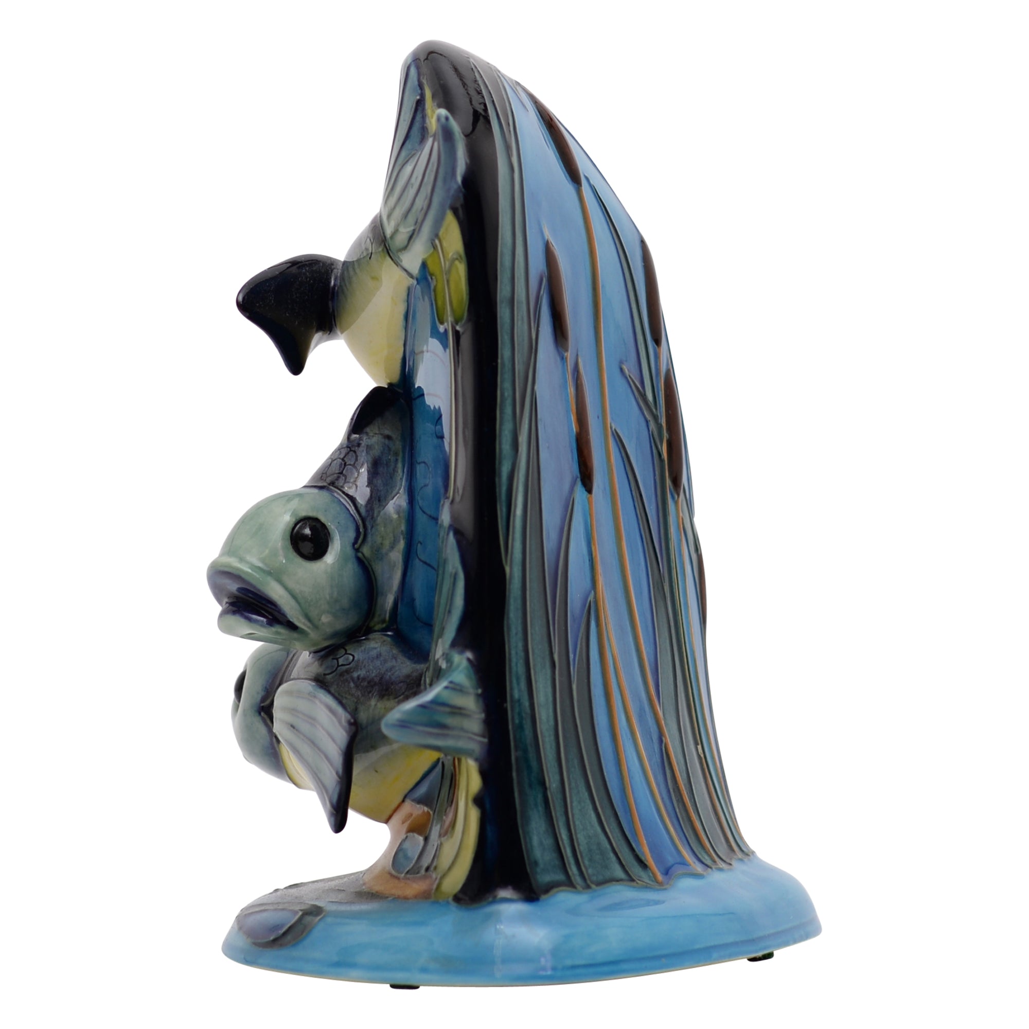 Shearwater Fish Model