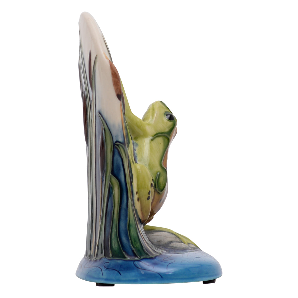 Shearwater Model - Frog