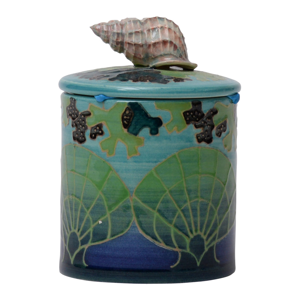Shell Trinket Box