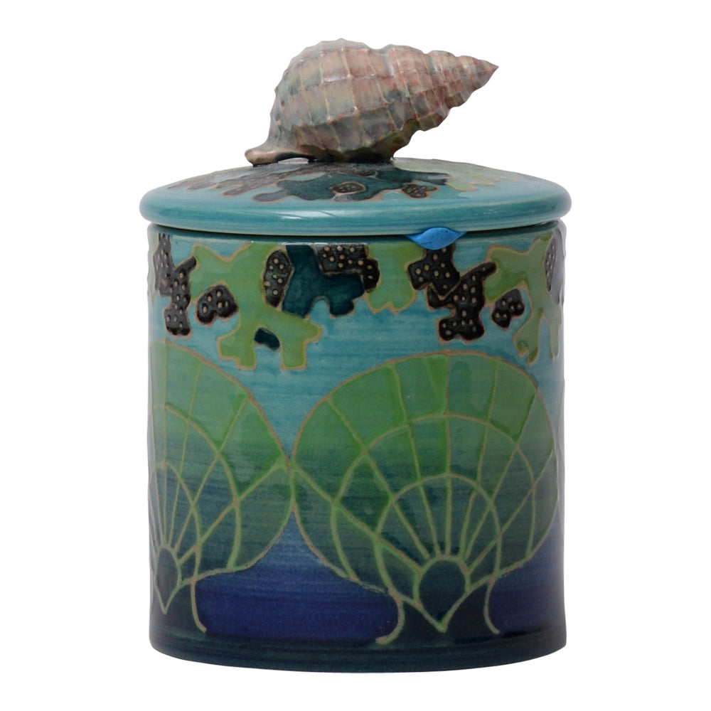 Shell Trinket Box