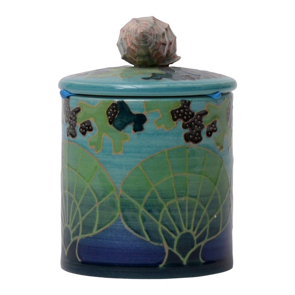 Shell Trinket Box