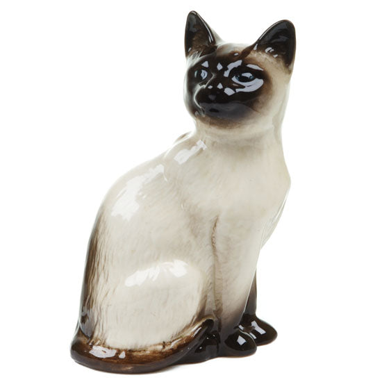 Seated Siamese