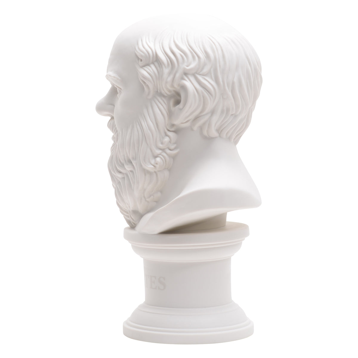 Socrates bust