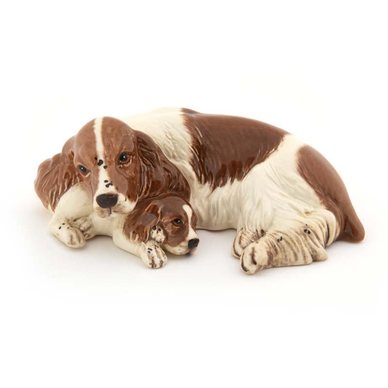 Spaniel Pup Lying