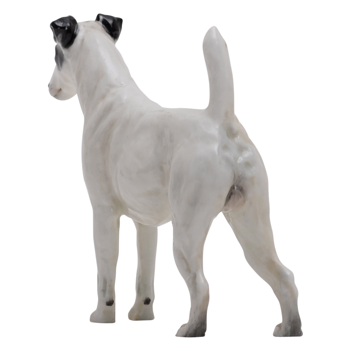 Smooth Haired Terrier