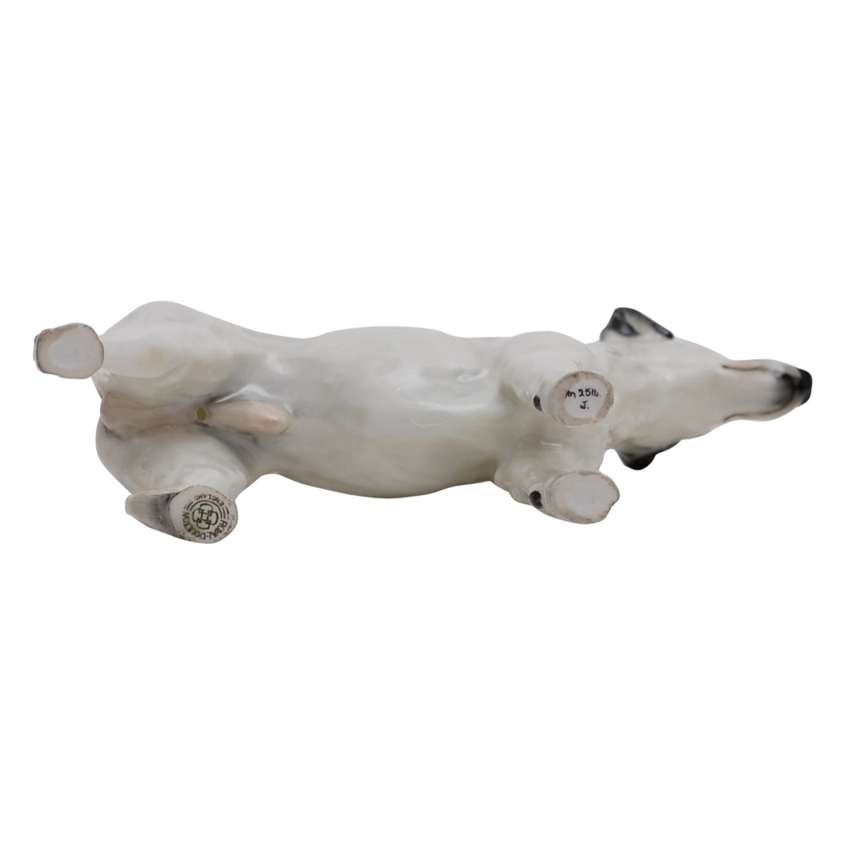Smooth Haired Terrier
