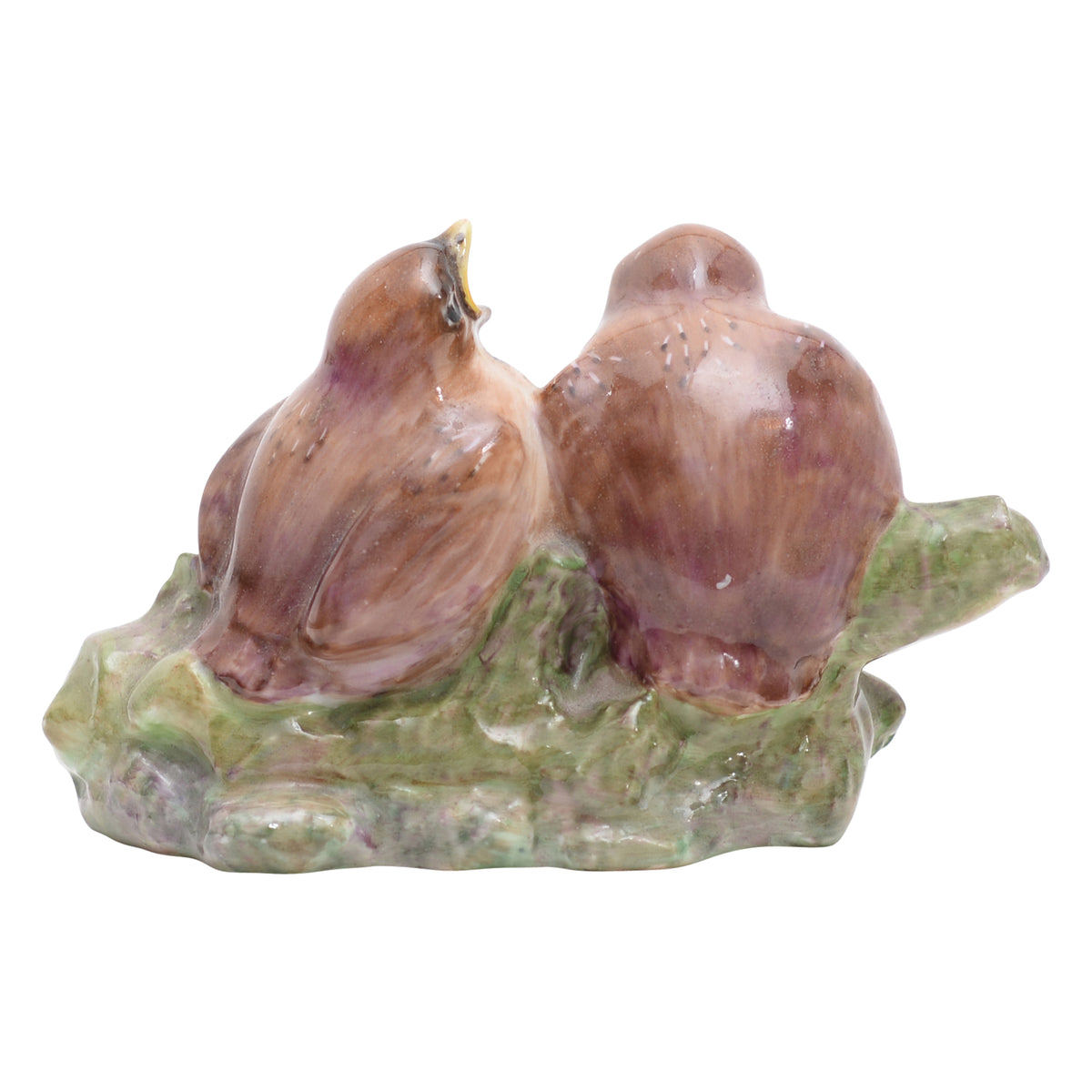 Two thrush chicks